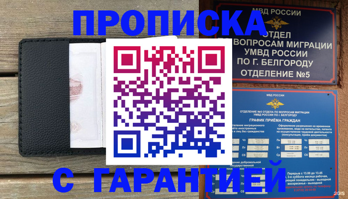 временная регистрация для всех в Куровском